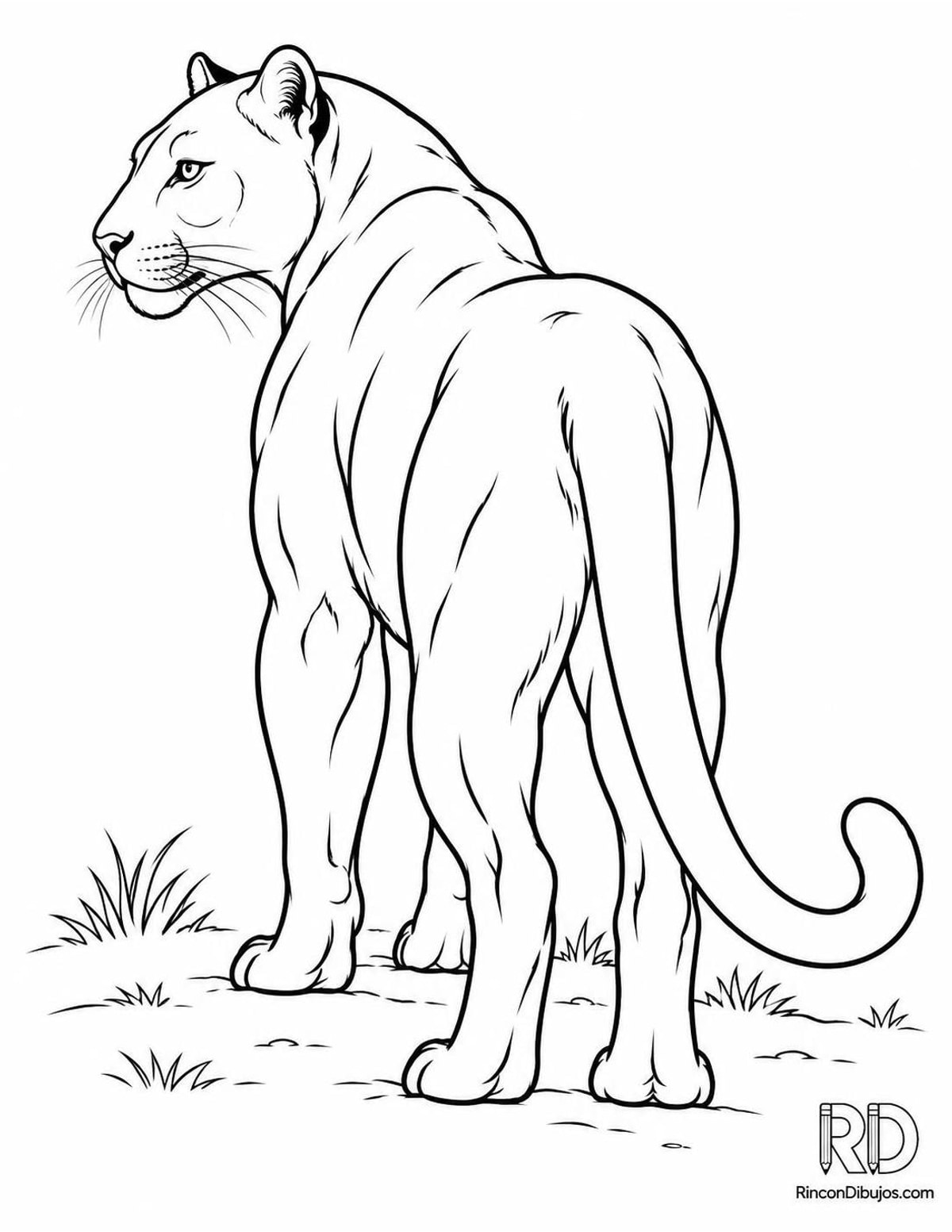 Dibujo de pantera mirando para colorear Dibujo de pantera mirando para colorear