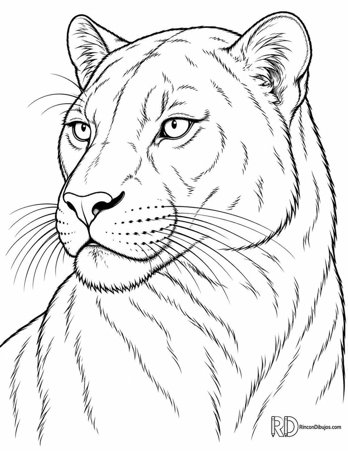 Dibujo de pantera para colorear Dibujo de pantera para colorear