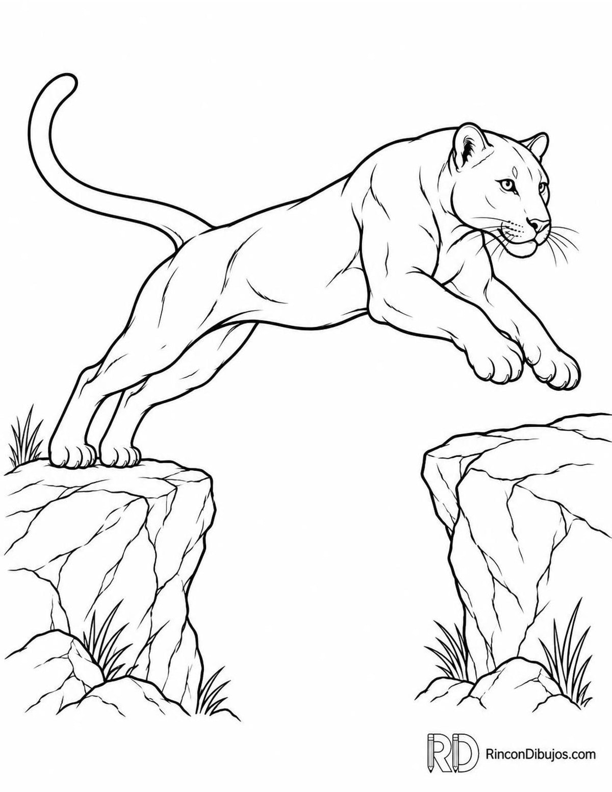 Dibujo de pantera saltando para colorear Dibujo de pantera saltando para colorear
