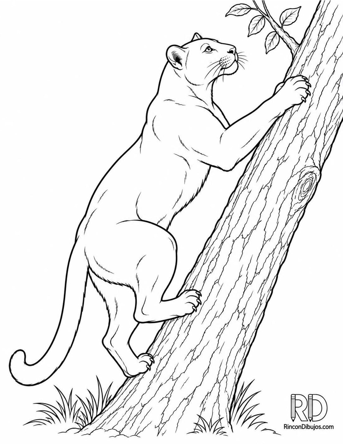 Dibujo de pantera trepando para colorear Dibujo de pantera trepando para colorear