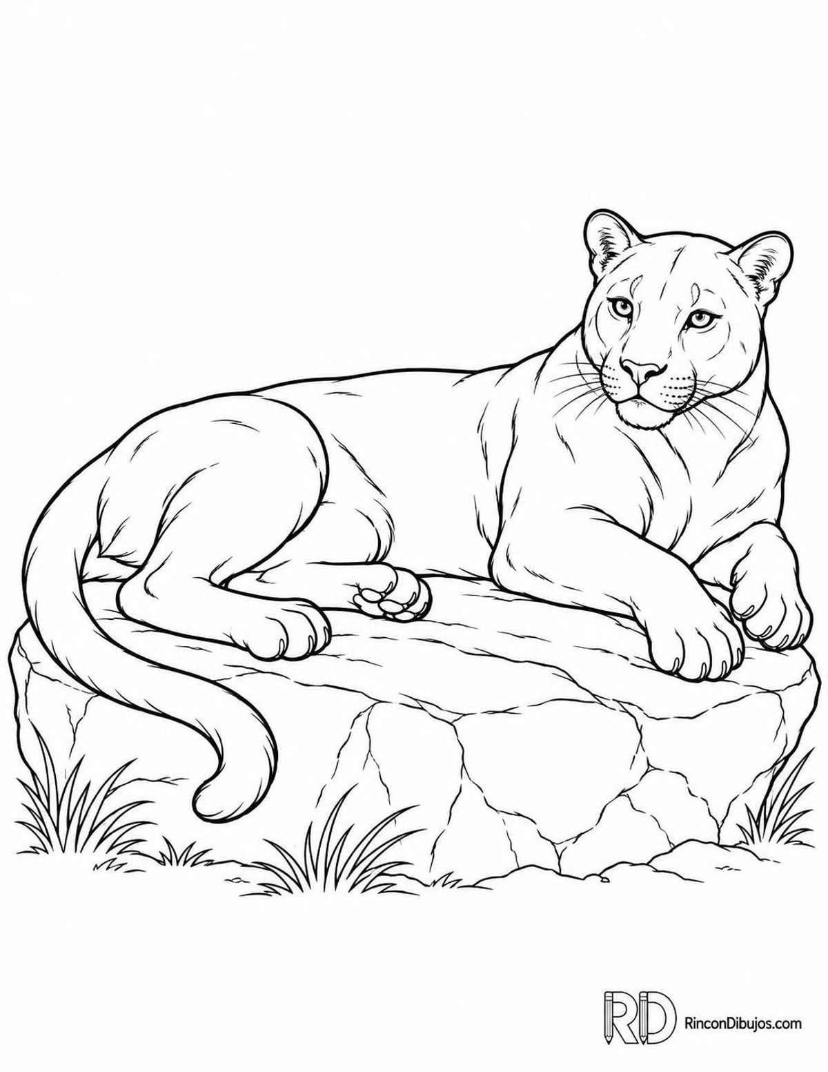 Dibujo de pantera tumbada para colorear Dibujo de pantera tumbada para colorear
