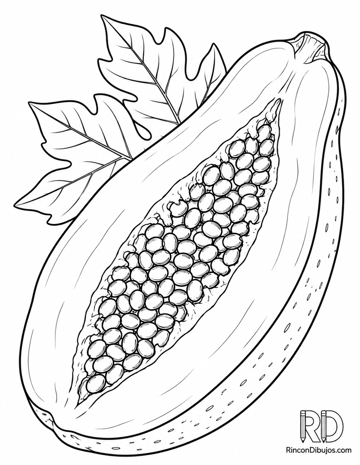Dibujo de papaya abierta para colorear Dibujo de papaya abierta para colorear