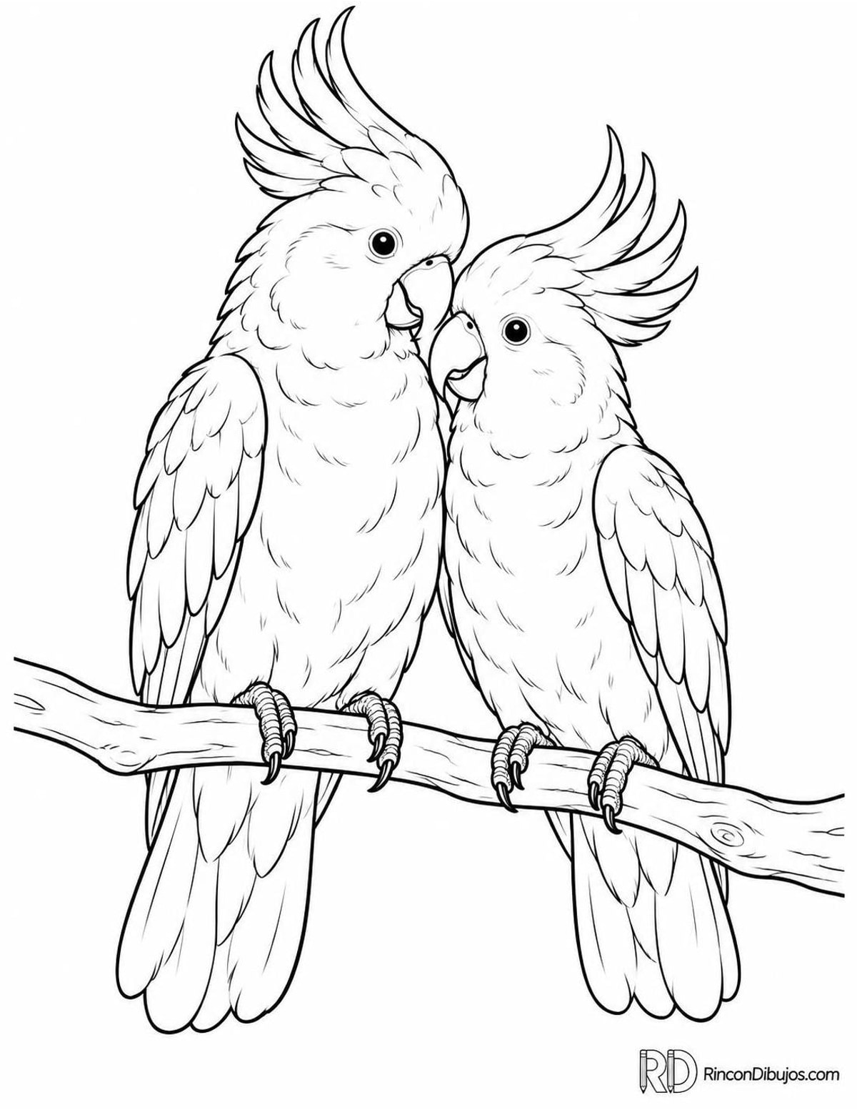 Dibujo de pareja de cacatúas para colorear Dibujo de pareja de cacatúas para colorear
