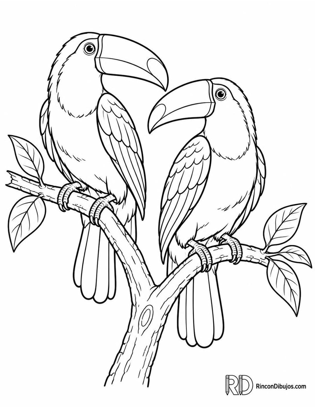 Dibujo de pareja de tucanes para colorear Dibujo de pareja de tucanes para colorear