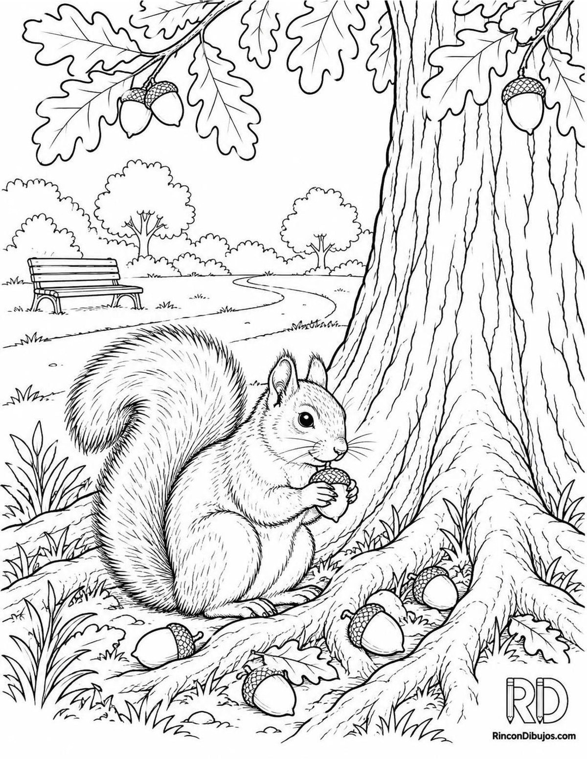 Dibujo de parque con ardilla para colorear Dibujo de parque con ardilla para colorear