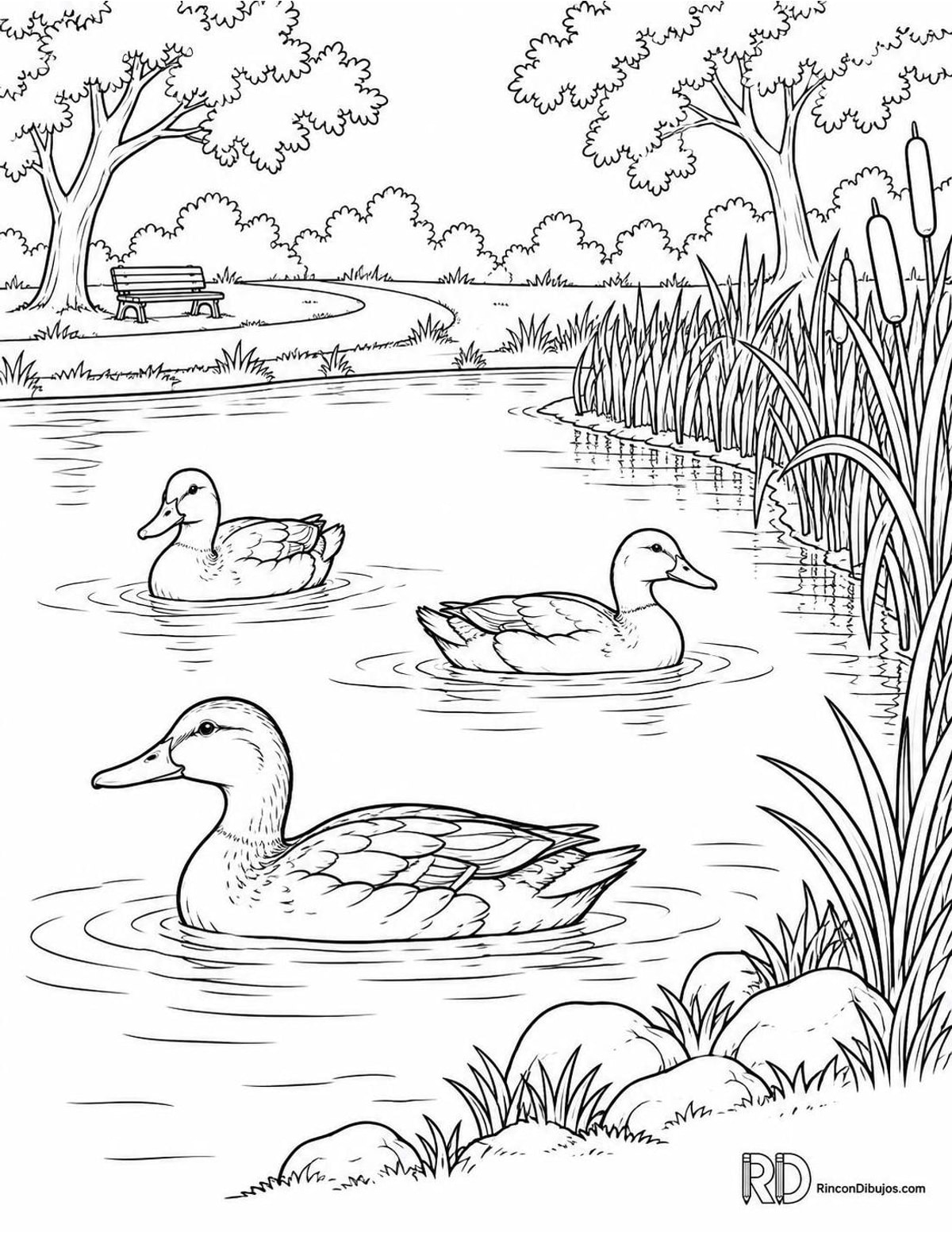 Dibujo de parque con patos para colorear Dibujo de parque con patos para colorear