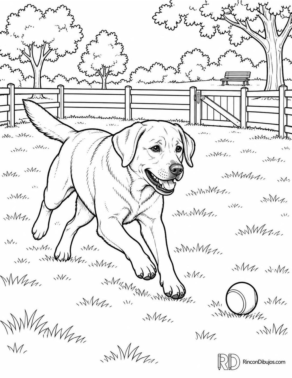Dibujo de parque para perros para colorear Dibujo de parque para perros para colorear