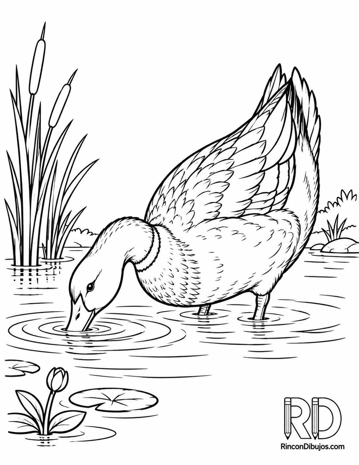 Dibujo de pato comiendo para colorear