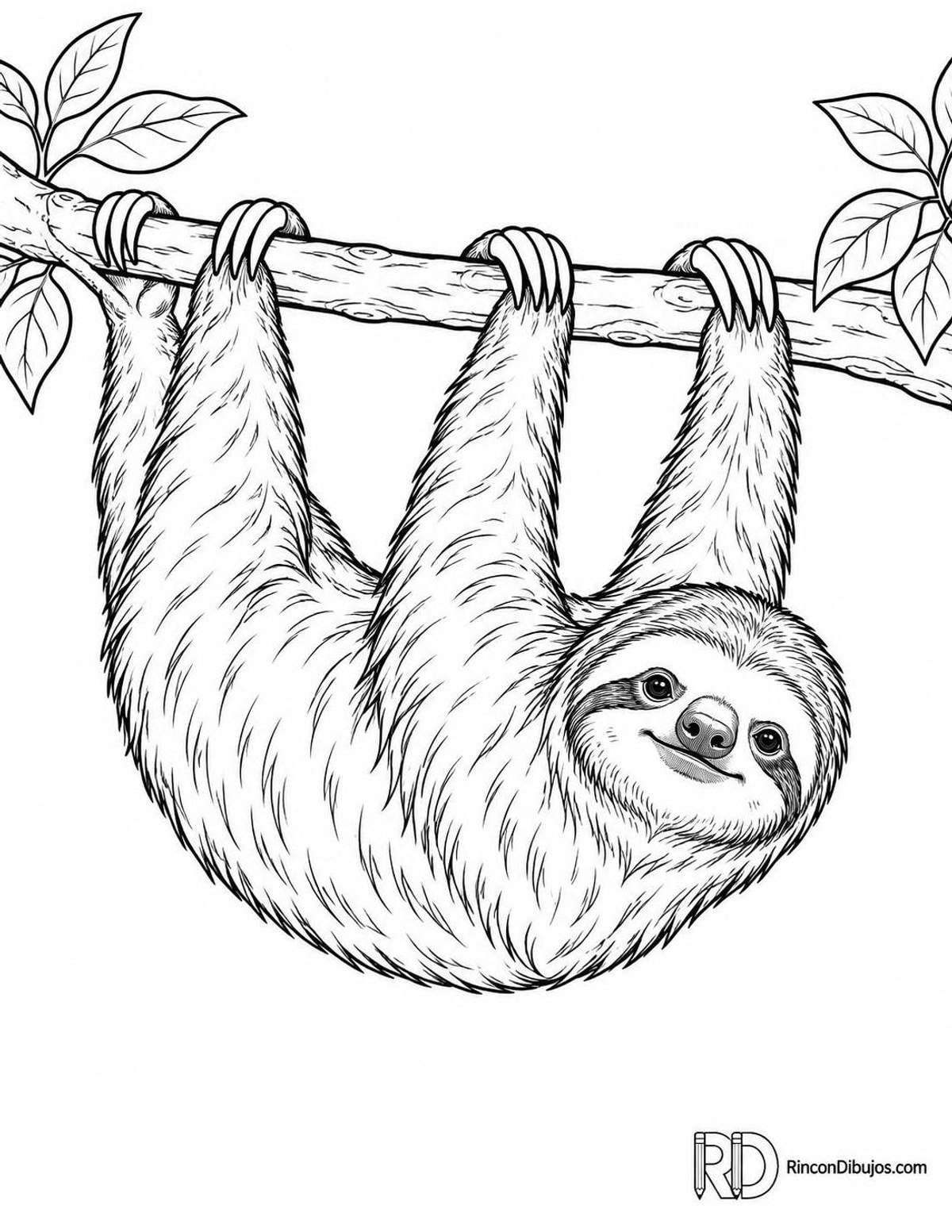 Dibujo de perezoso colgado para colorear Dibujo de perezoso colgado para colorear