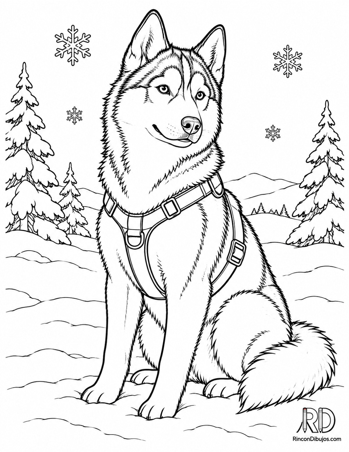 Dibujo de perro husky para colorear Dibujo de perro husky para colorear