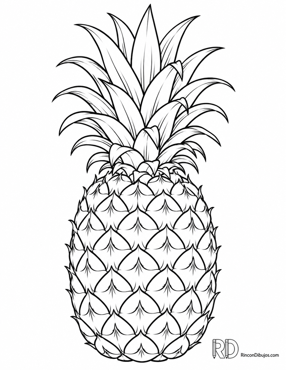 Dibujo de piña para colorear Dibujo de piña para colorear