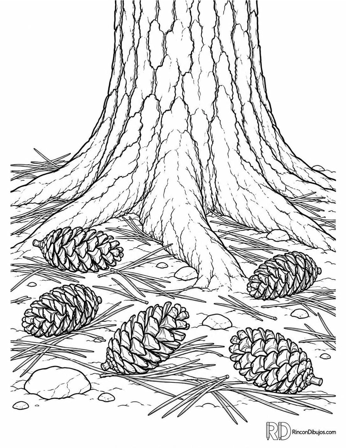 Dibujo de piñas de pino para colorear Dibujo de piñas de pino para colorear