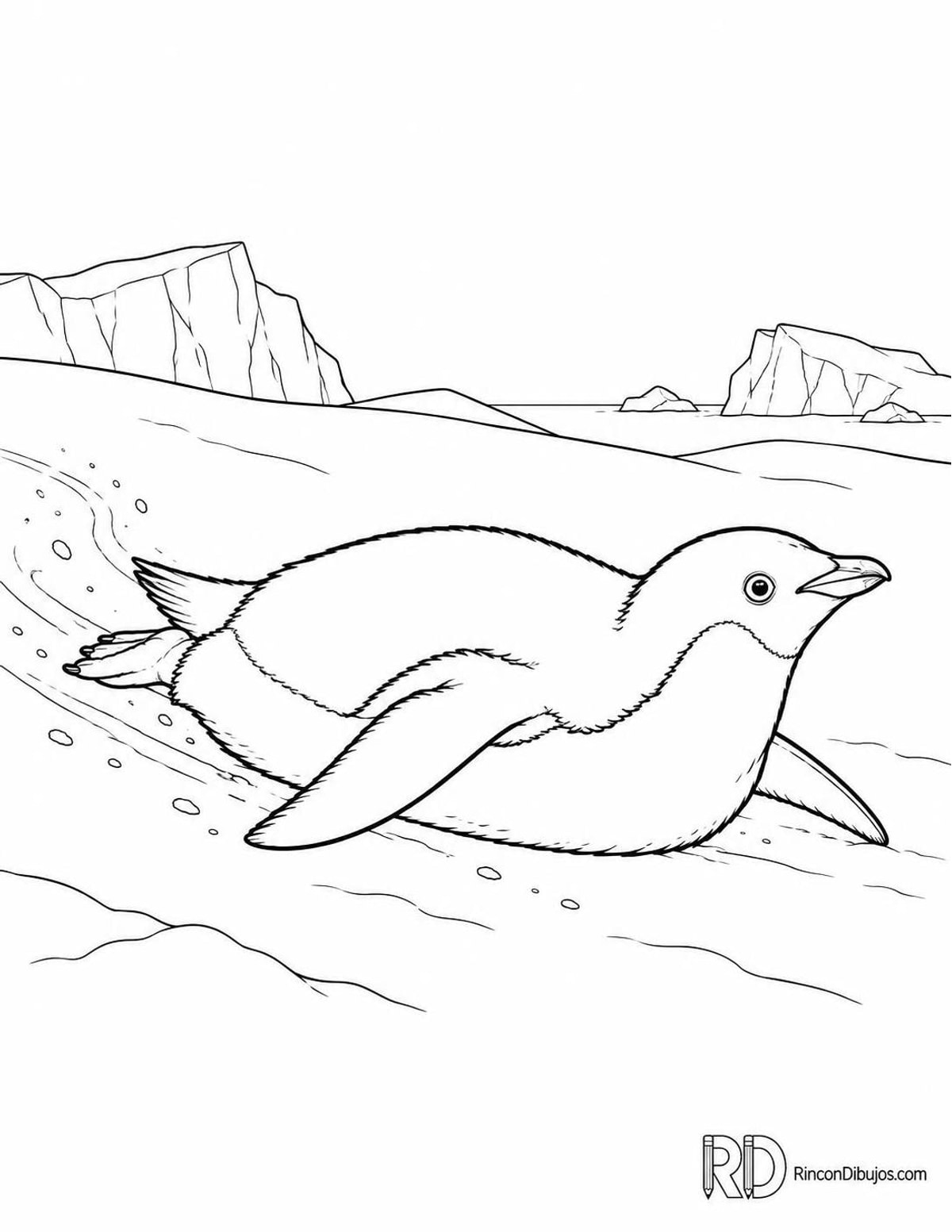 Dibujo de pingüino de Adelia para colorear