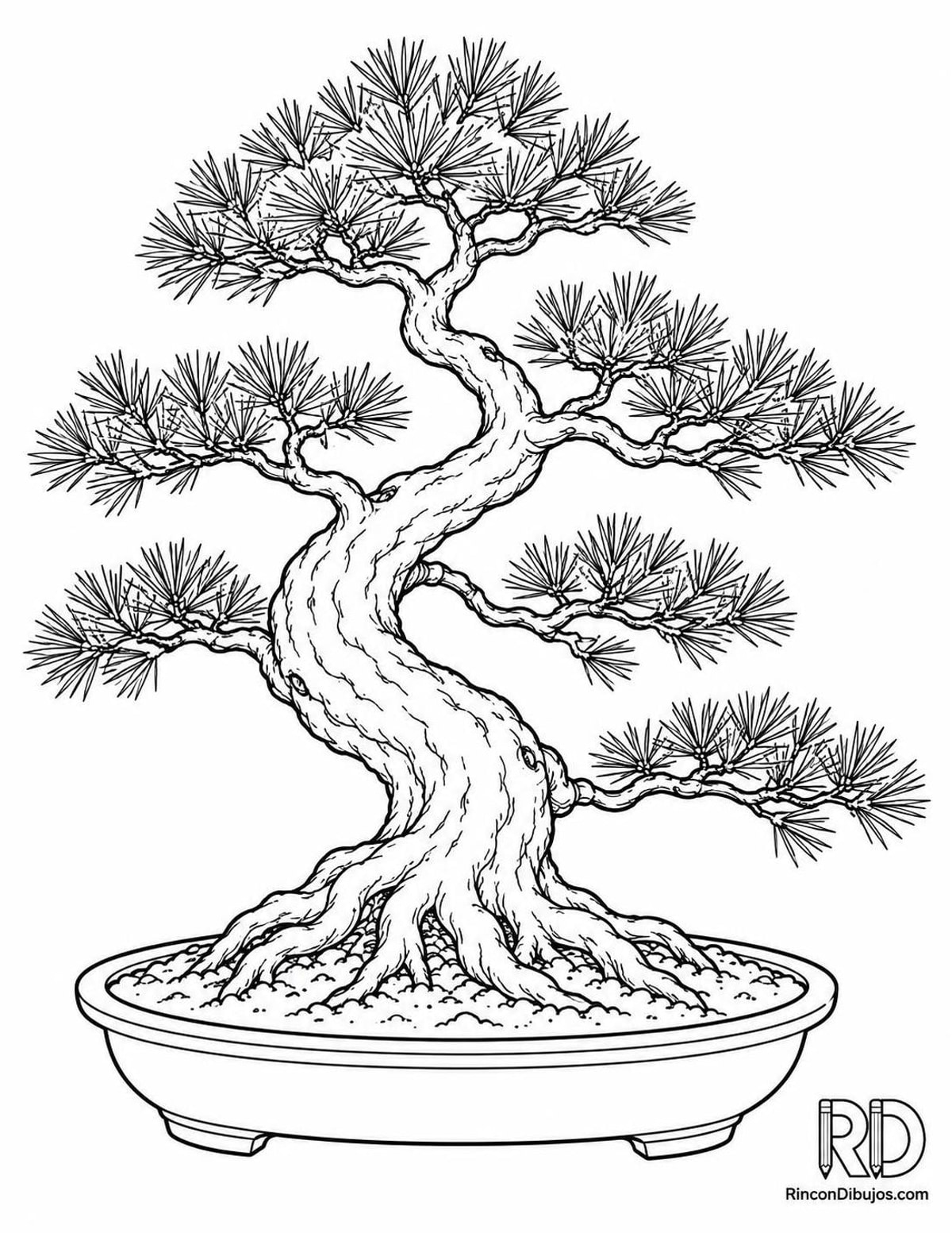 Dibujo de pino bonsái para colorear Dibujo de pino bonsái para colorear