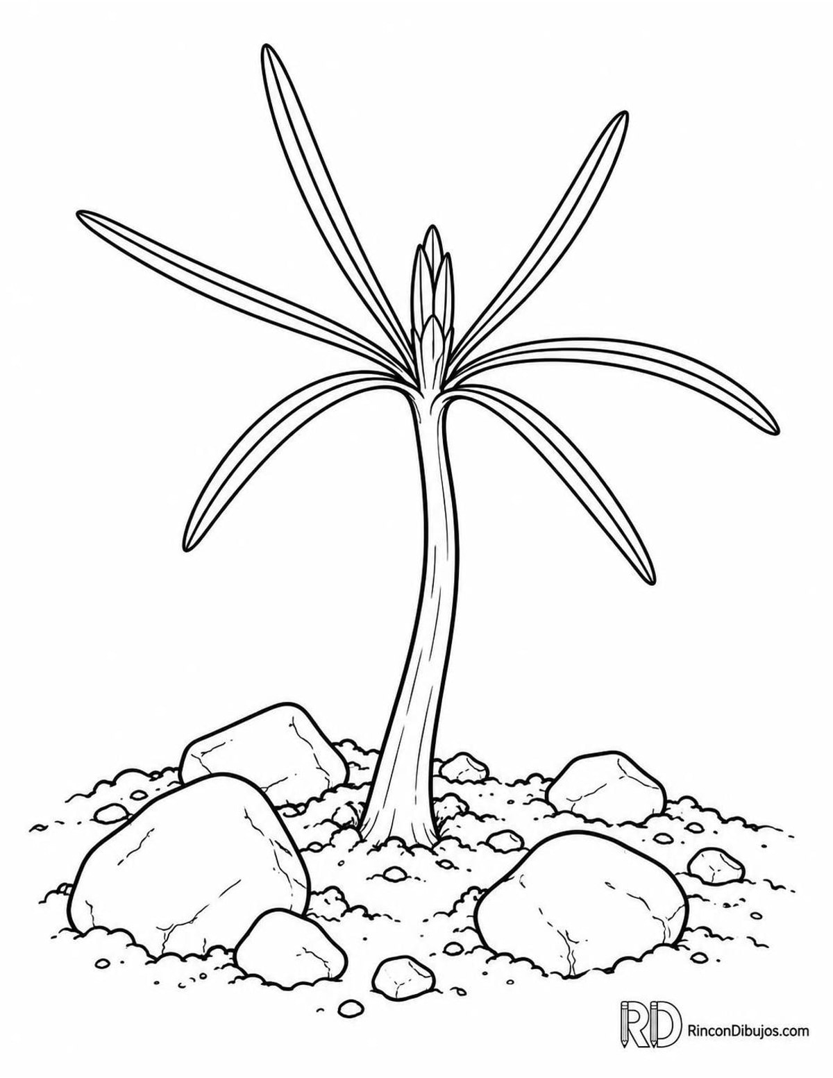 Dibujo de pino germinando para colorear Dibujo de pino germinando para colorear