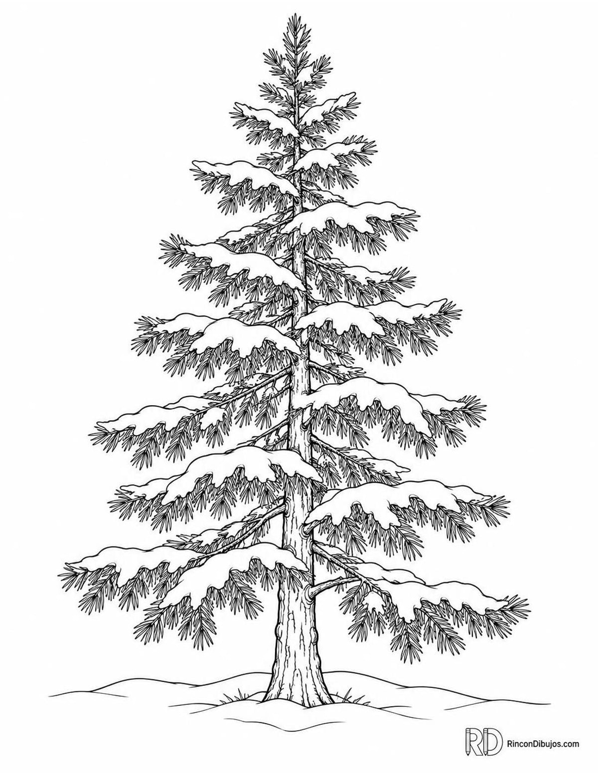 Dibujo de pino nevado para colorear Dibujo de pino nevado para colorear