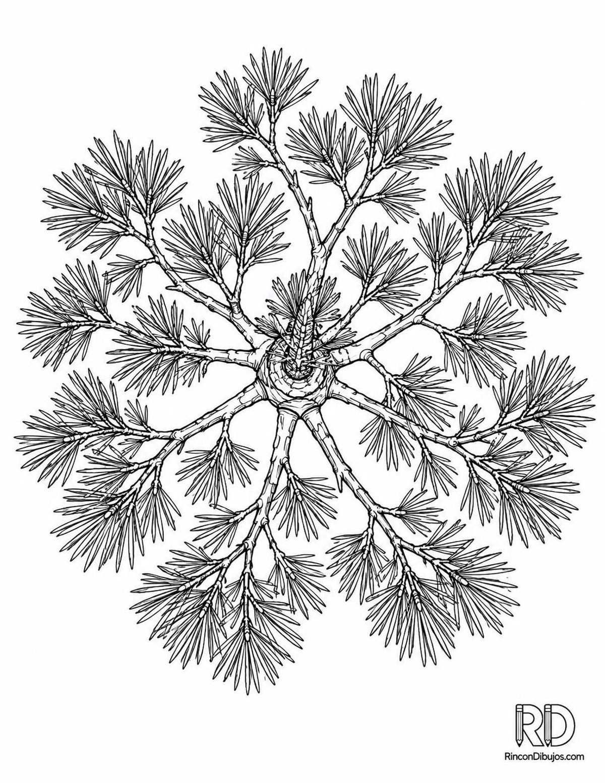 Dibujo de pino para colorear Dibujo de pino para colorear