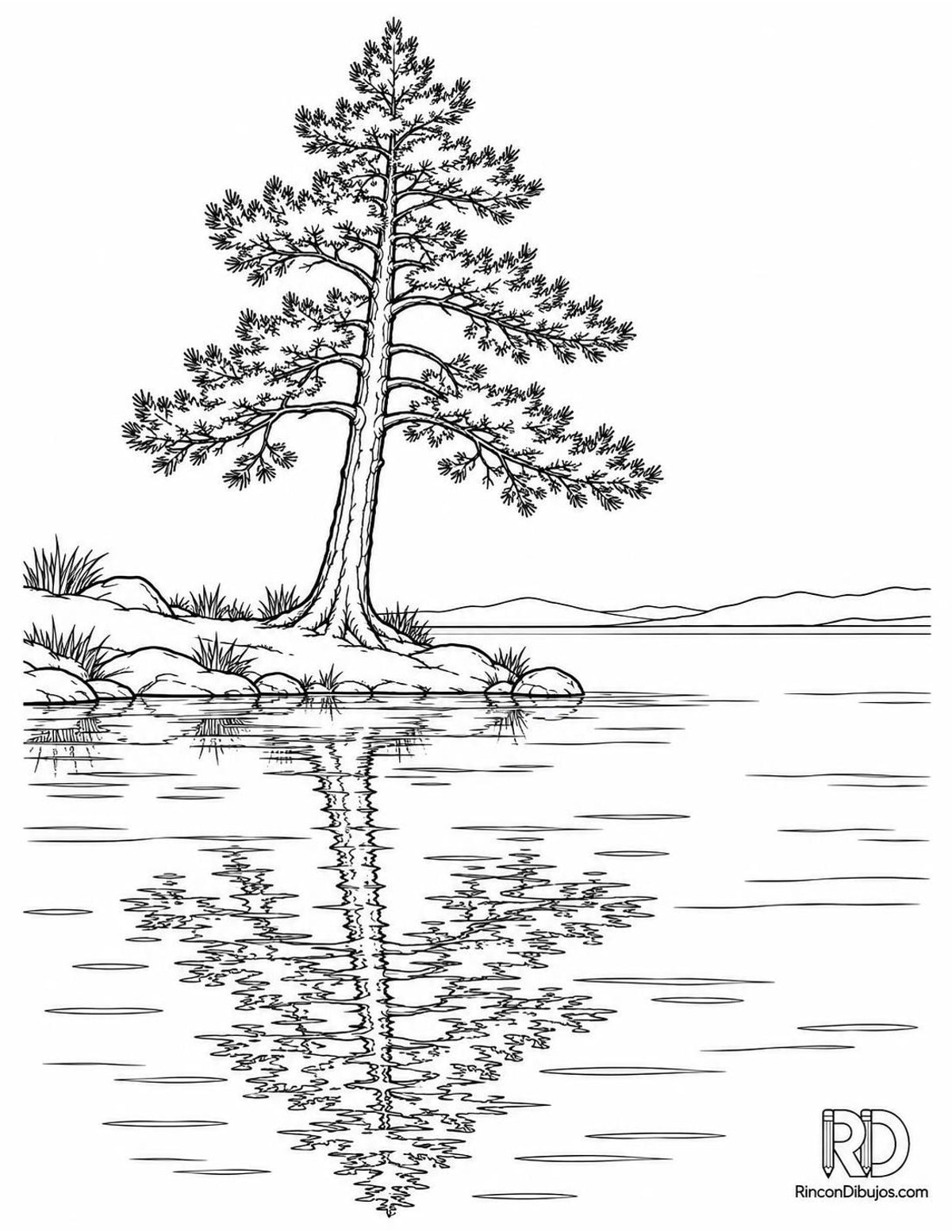 Dibujo de pino solitario para colorear Dibujo de pino solitario para colorear