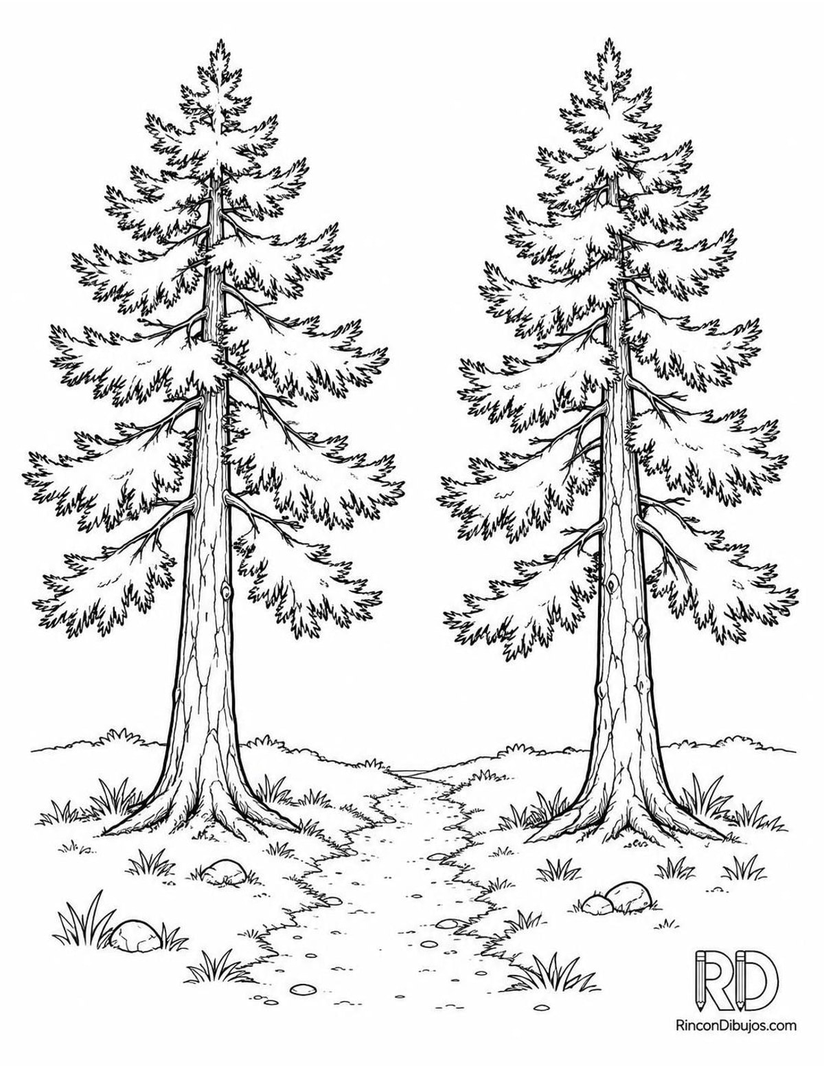 Dibujo de pinos con sendero para colorear Dibujo de pinos con sendero para colorear