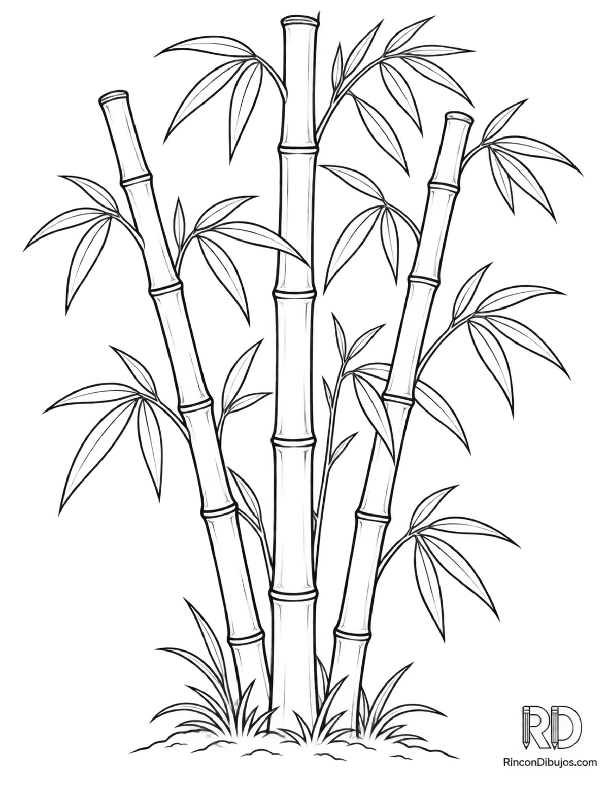 Dibujo de planta de bambú para colorear Dibujo de planta de bambú para colorear