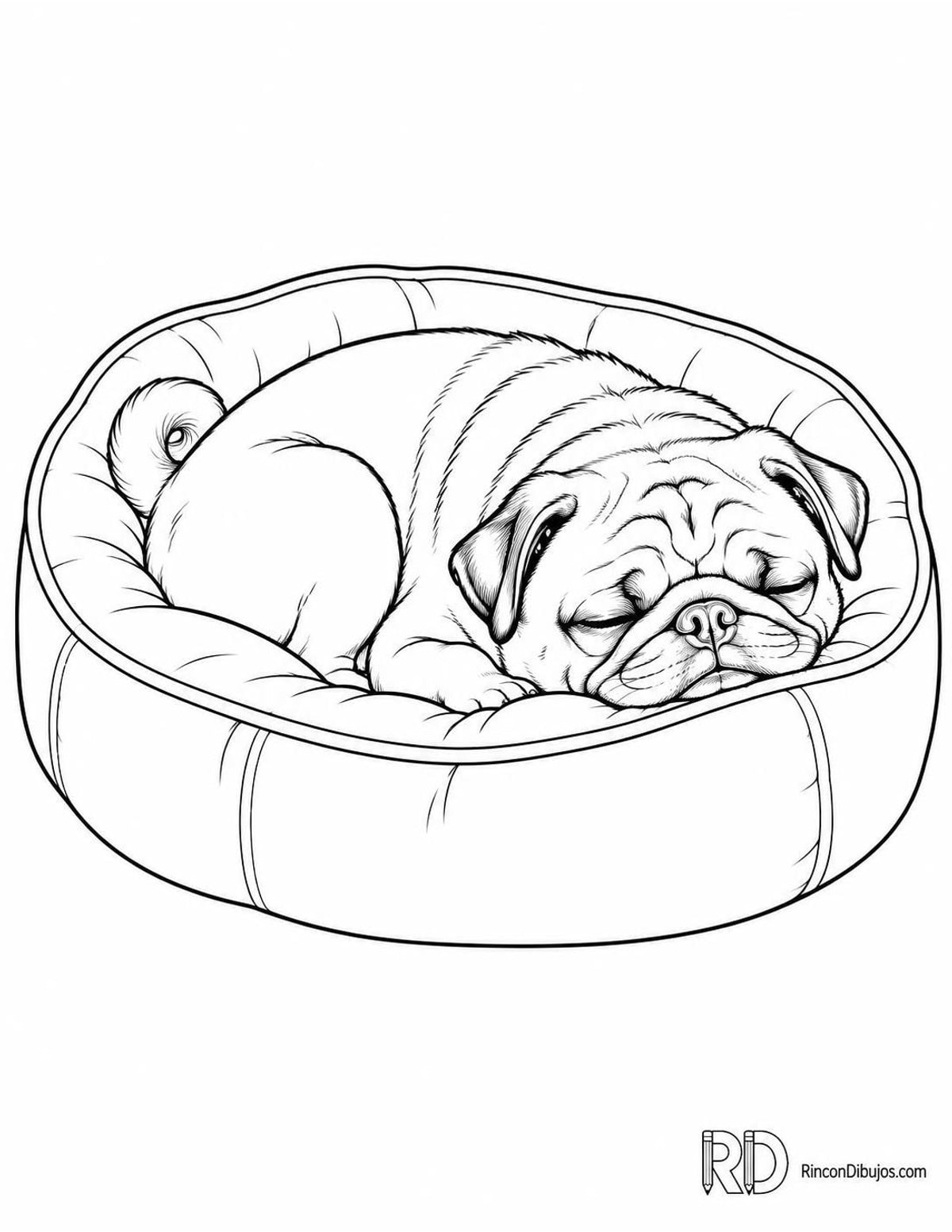 Dibujo de pug dormido para colorear