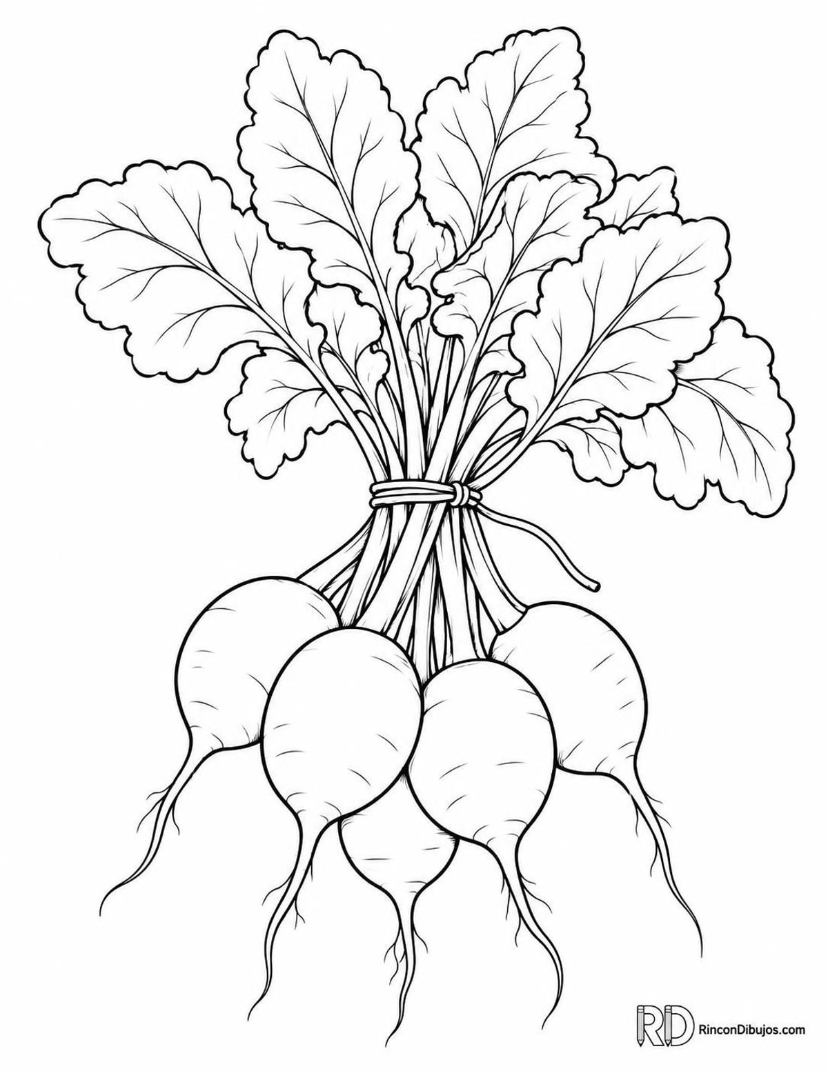 Dibujo de rábanos para colorear