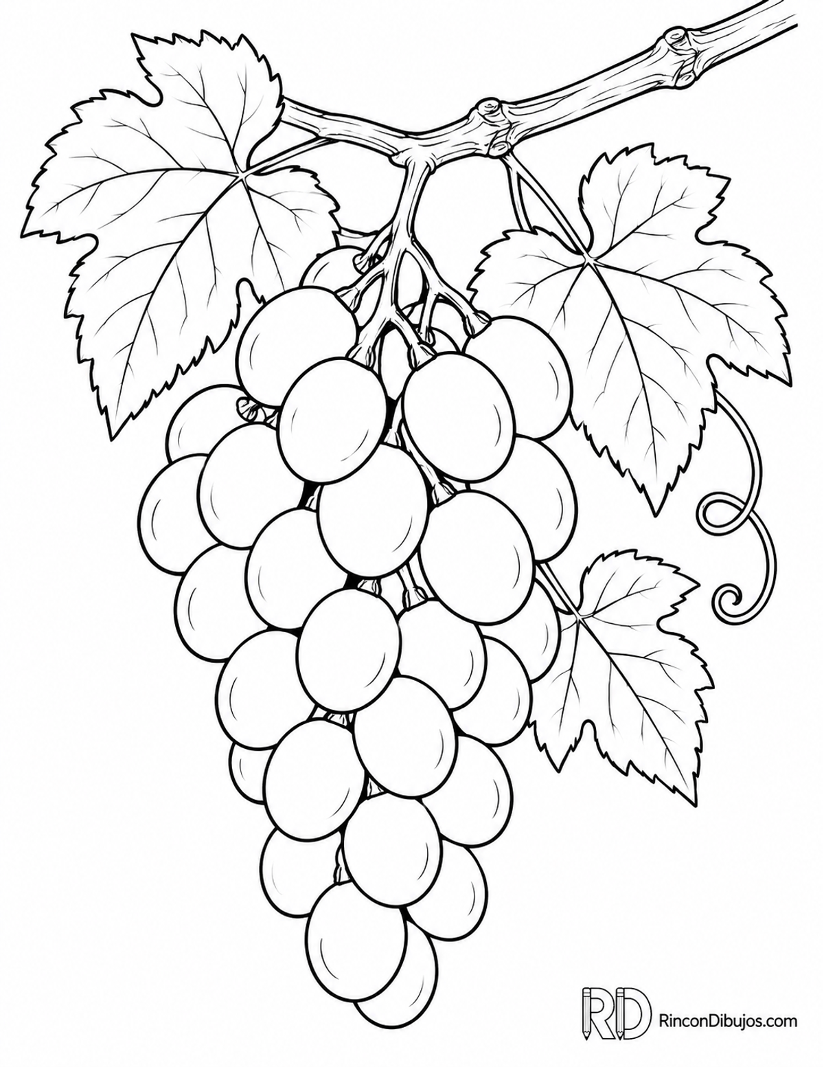 Dibujo de racimo de uvas para colorear Dibujo de racimo de uvas para colorear