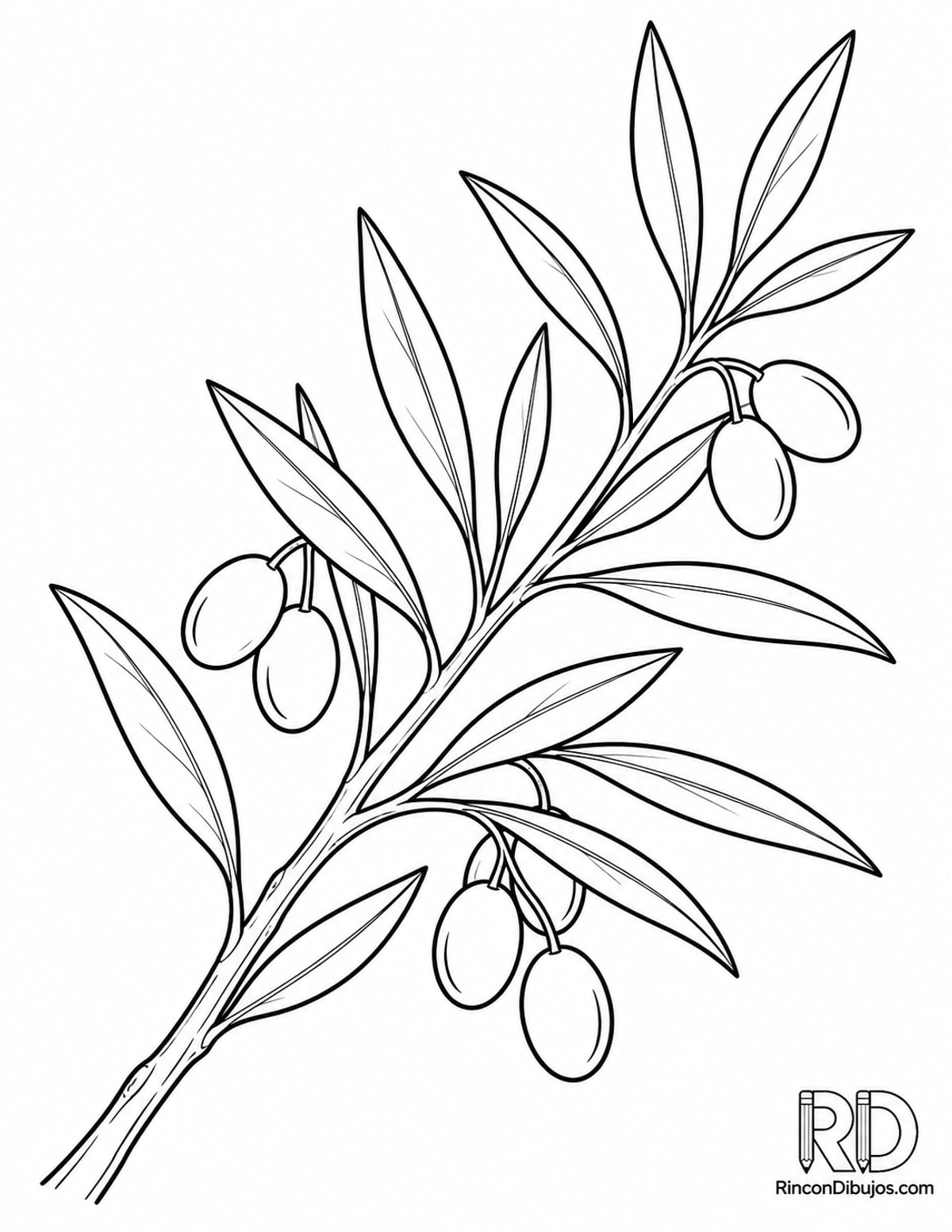Dibujo de rama de olivo para colorear Dibujo de rama de olivo para colorear