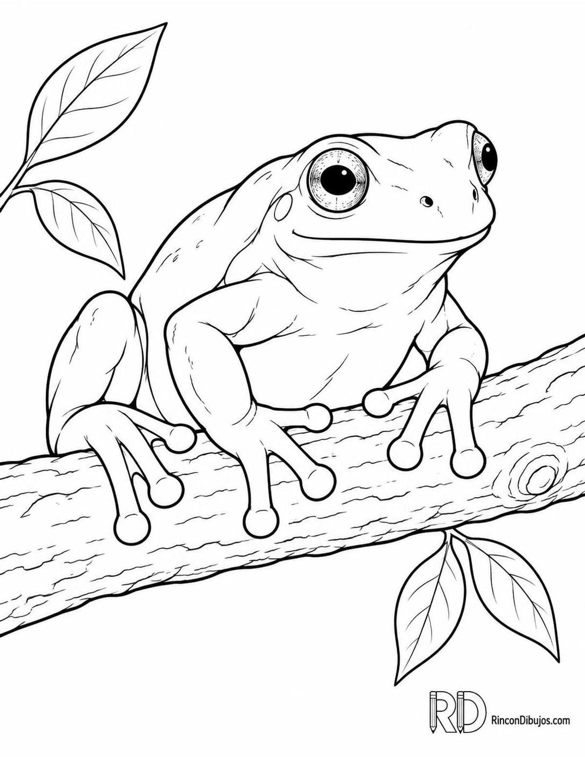 Dibujo de rana arborícola australiana para colorear Dibujo de rana arborícola australiana para colorear