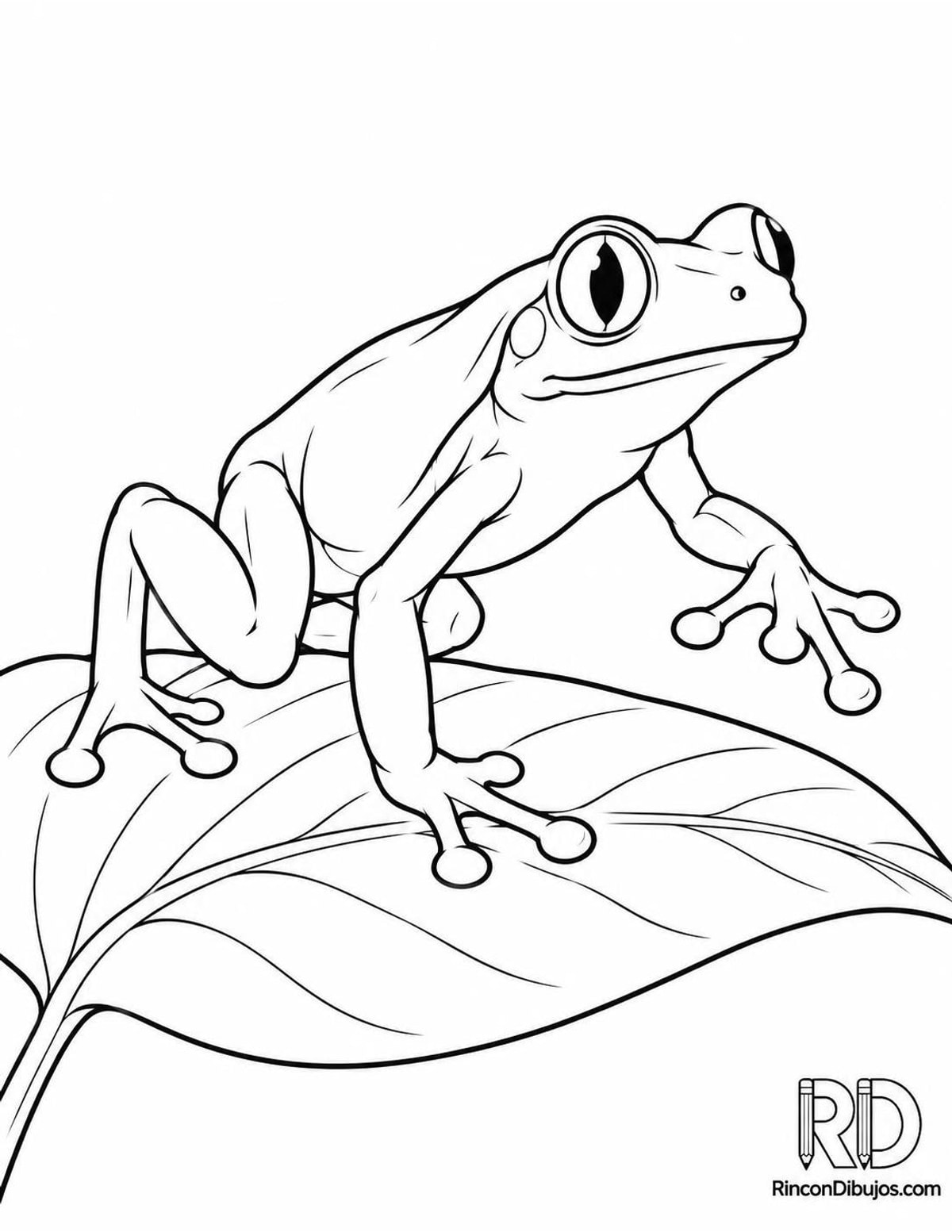 Dibujo de rana arborícola avanzando para colorear Dibujo de rana arborícola avanzando para colorear