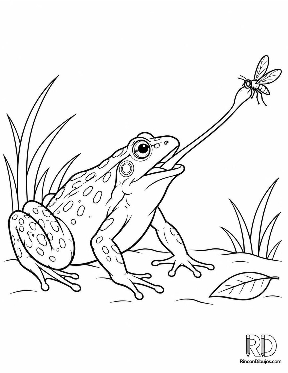 Dibujo de rana atrapando insecto para colorear Dibujo de rana atrapando insecto para colorear