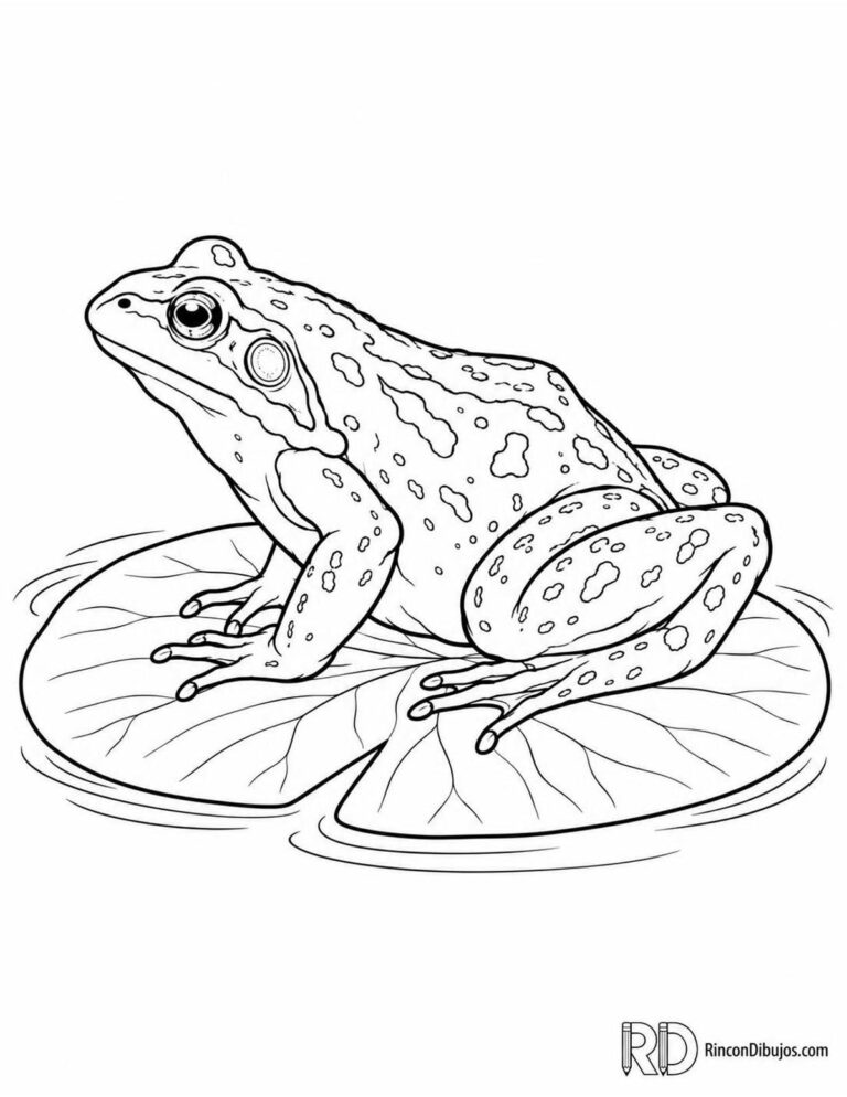 Dibujos de Anfibios para Colorear