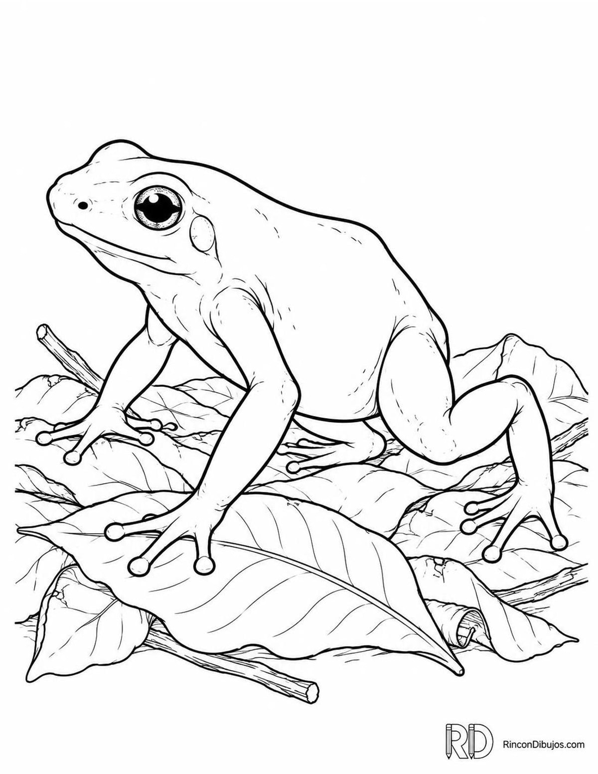 Dibujo de rana dardo dorada para colorear Dibujo de rana dardo dorada para colorear