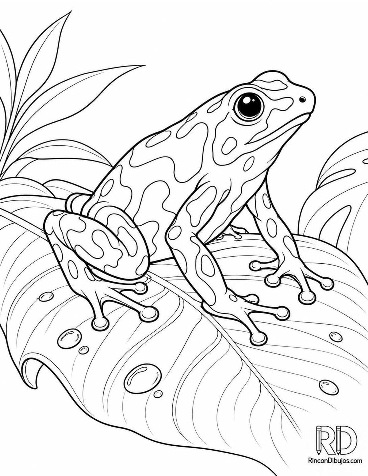 Dibujo de rana dardo venenosa para colorear Dibujo de rana dardo venenosa para colorear