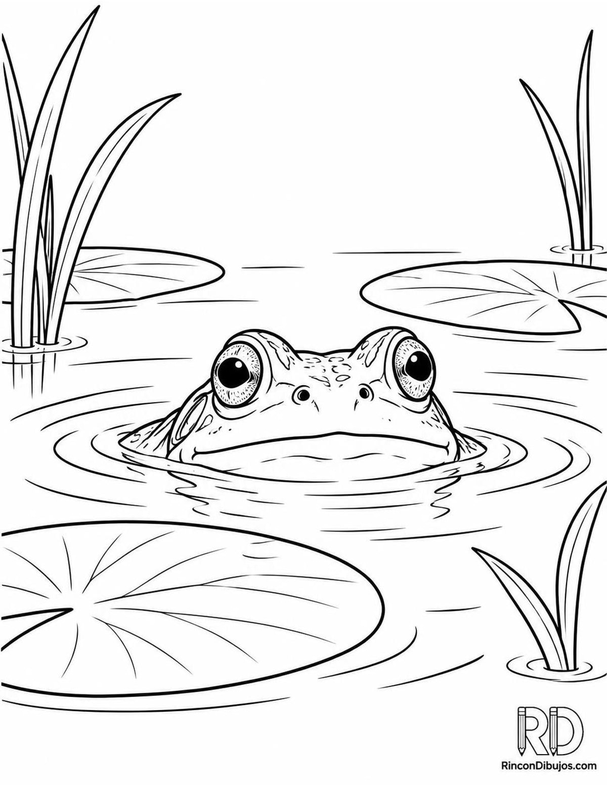 Dibujo de rana en estanque para colorear Dibujo de rana en estanque para colorear