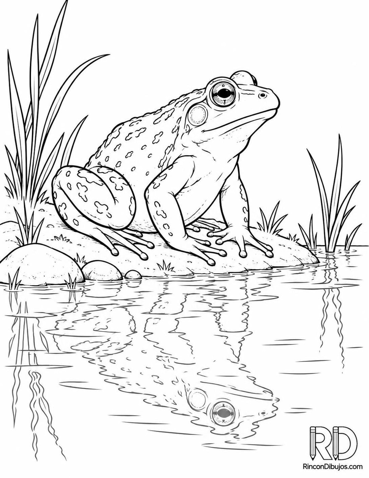Dibujo de rana en la orilla para colorear Dibujo de rana en la orilla para colorear