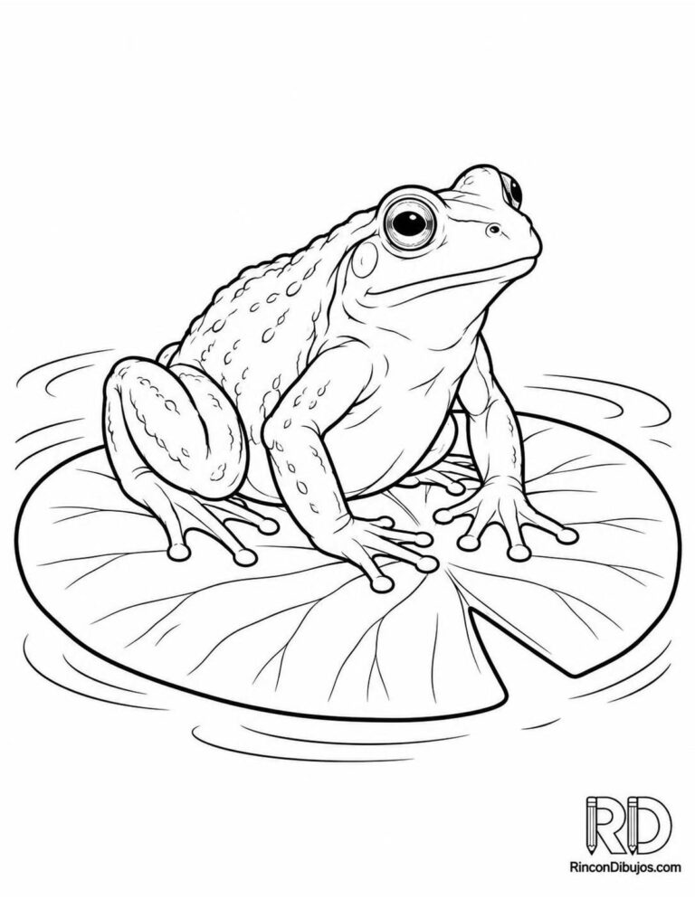 Dibujos de Ranas para Colorear