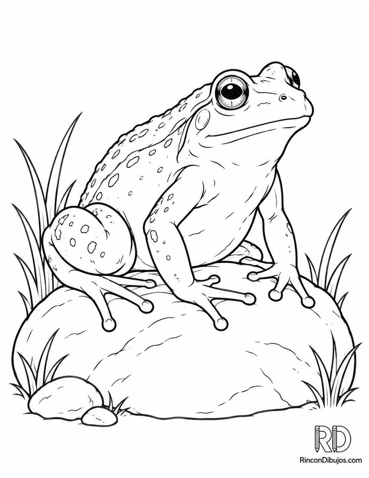 Dibujo de rana en piedra para colorear Dibujo de rana en piedra para colorear