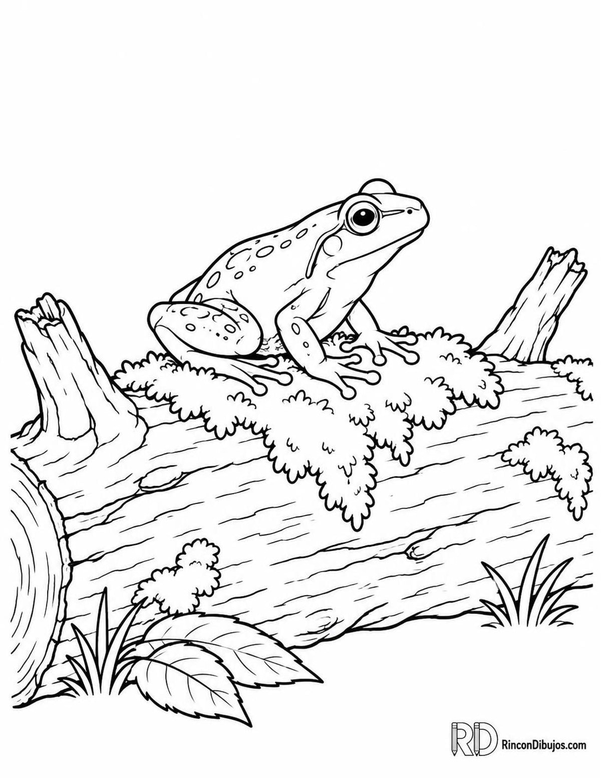 Dibujo de rana pequeña en musgo para colorear Dibujo de rana pequeña en musgo para colorear
