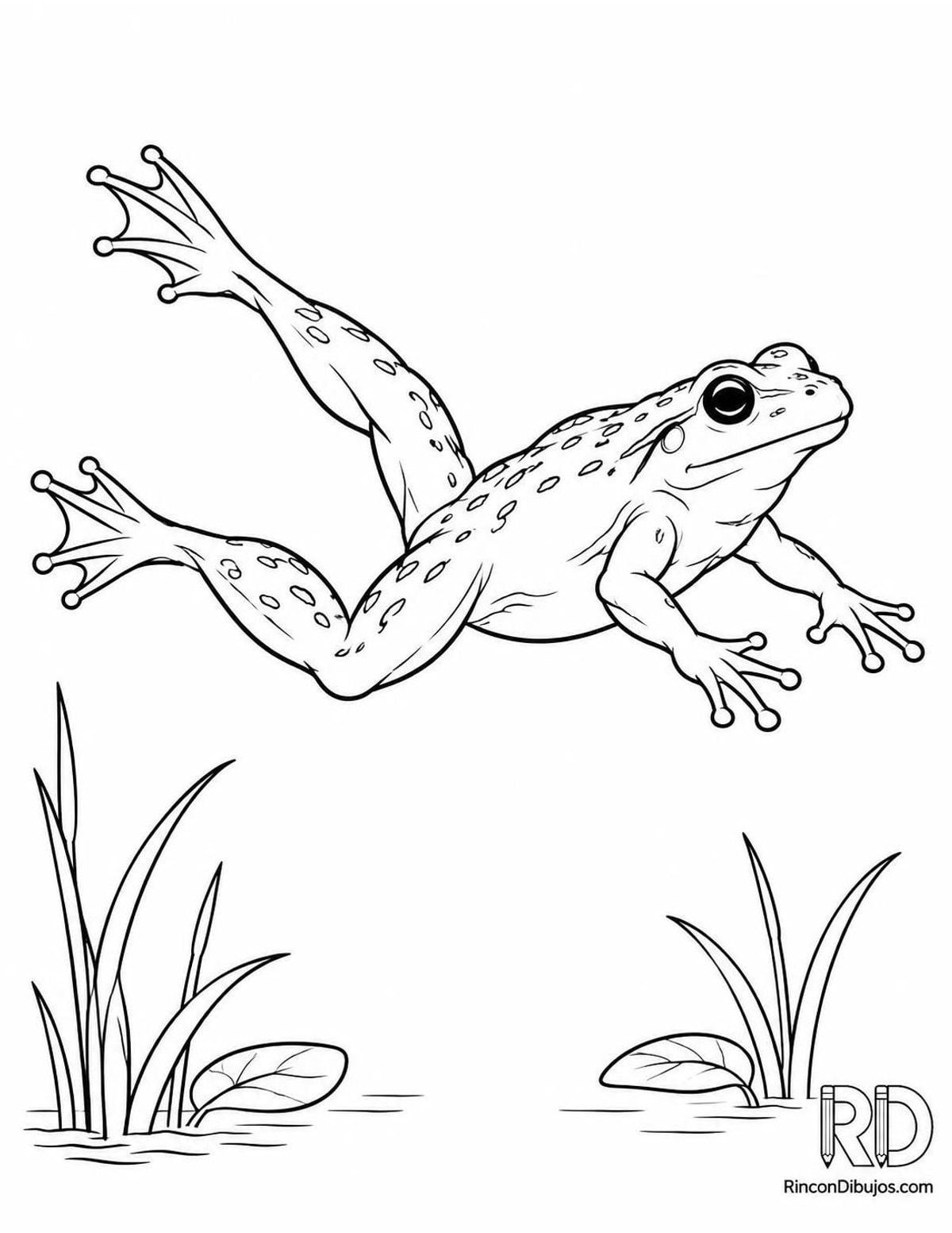 Dibujo de rana saltando para colorear Dibujo de rana saltando para colorear