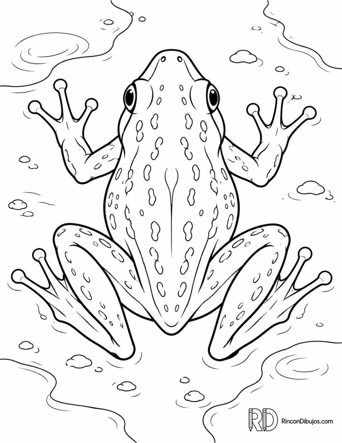 Dibujo de rana sobre barro para colorear Dibujo de rana sobre barro para colorear