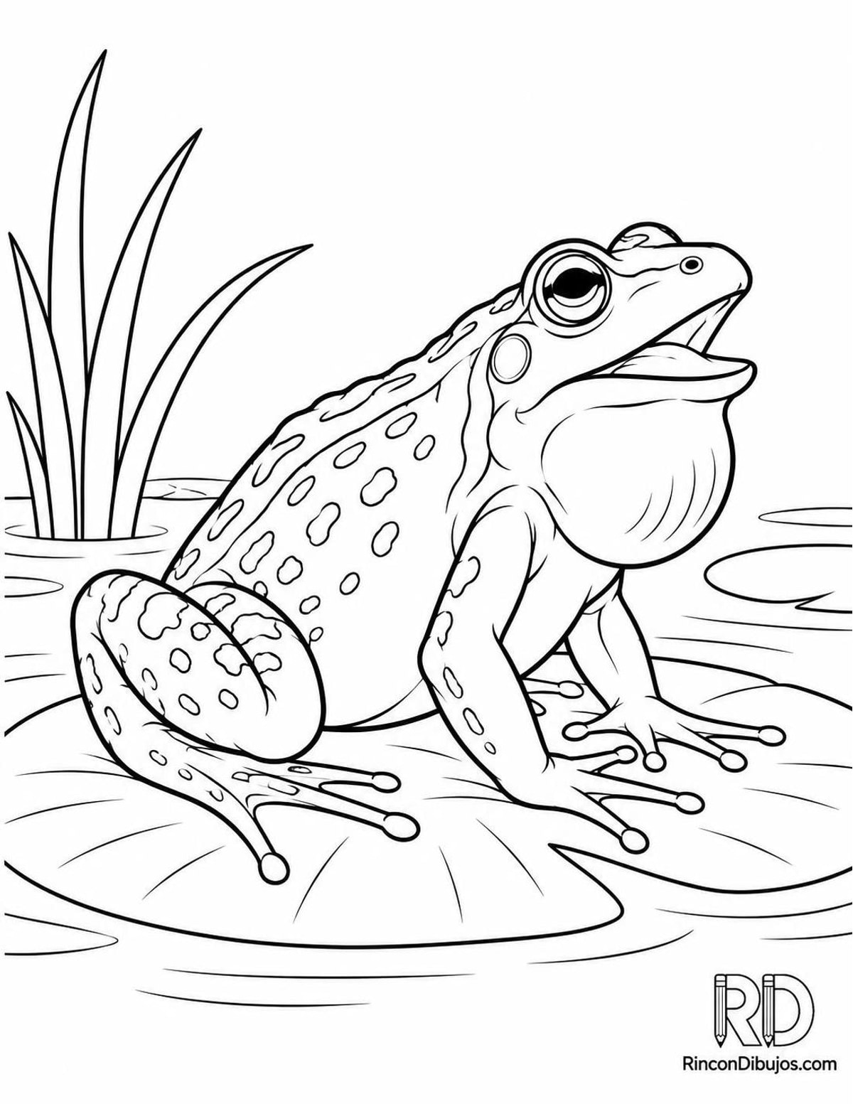 Dibujo de rana verde croando para colorear Dibujo de rana verde croando para colorear