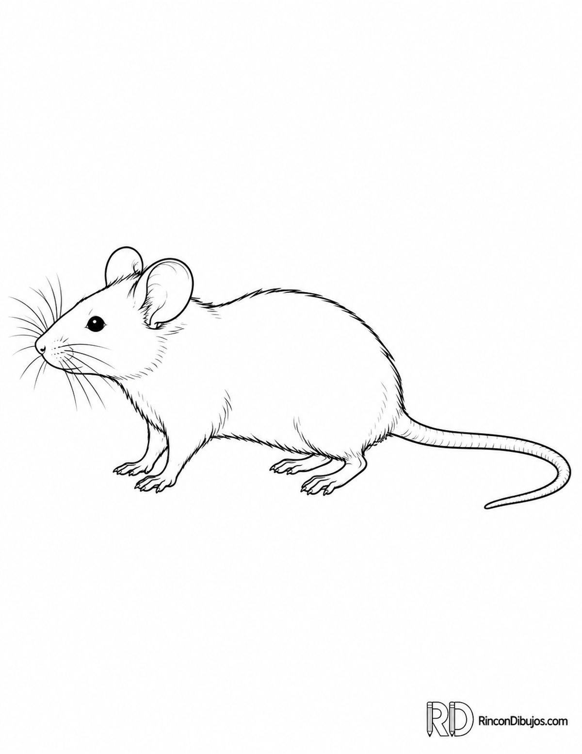 Dibujo de ratón blanco para colorear Dibujo de ratón blanco para colorear