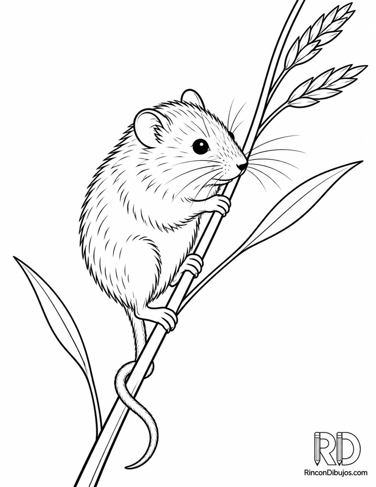 Dibujo de ratón espiguero trepando para colorear Dibujo de ratón espiguero trepando para colorear