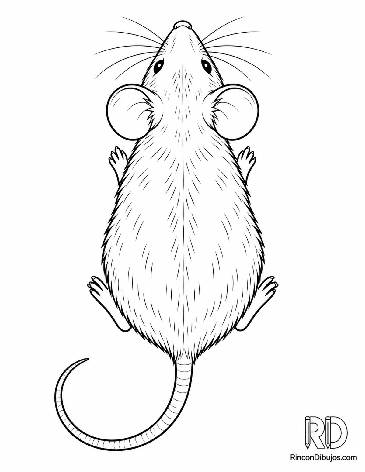 Dibujo de ratón gris para colorear Dibujo de ratón gris para colorear
