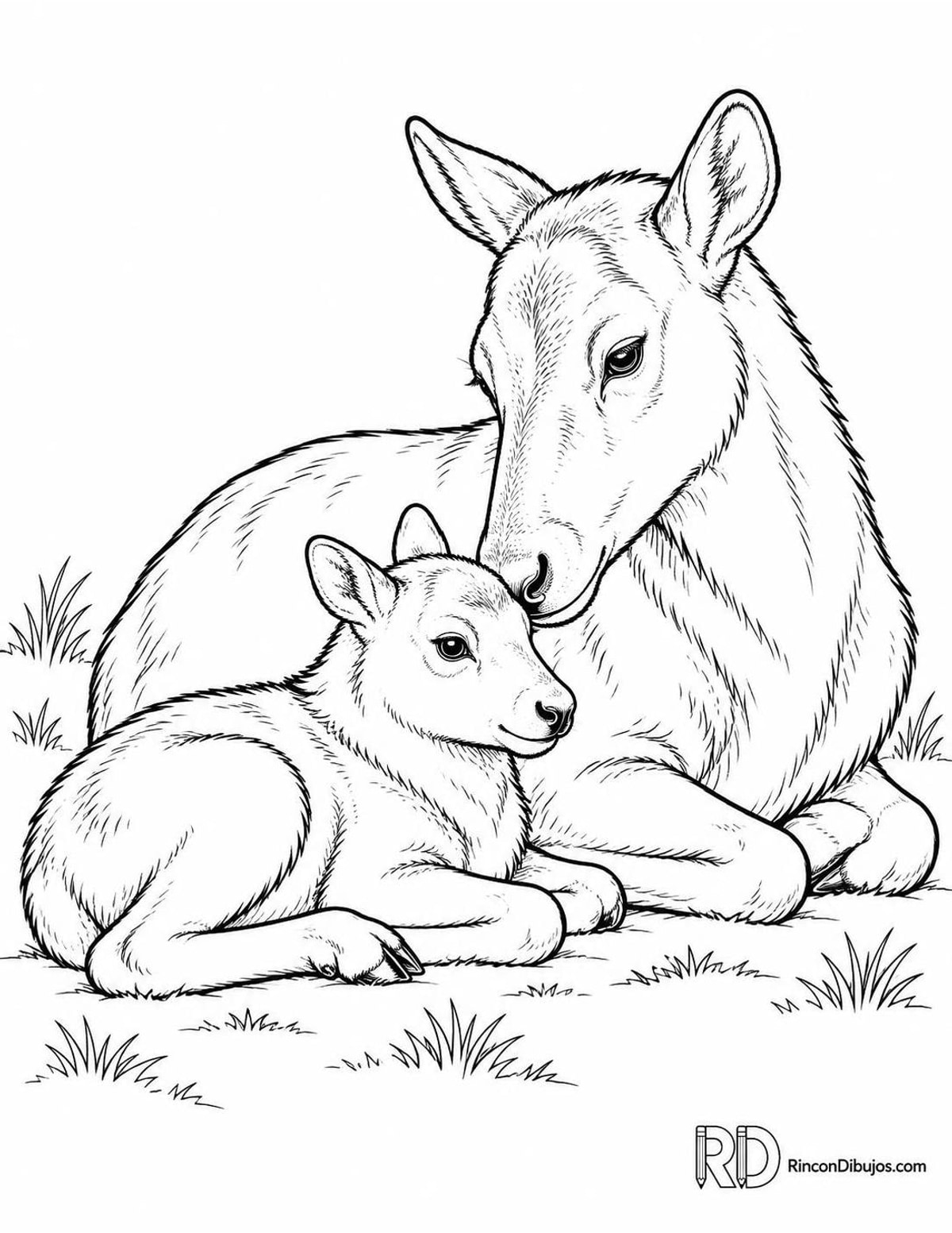 Dibujo de reno con cría para colorear Dibujo de reno con cría para colorear
