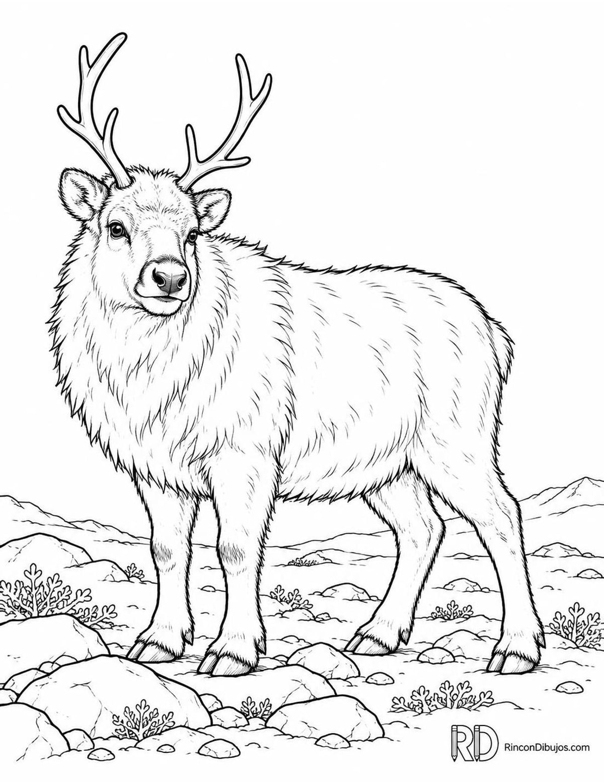 Dibujo de reno de Svalbard para colorear Dibujo de reno de Svalbard para colorear
