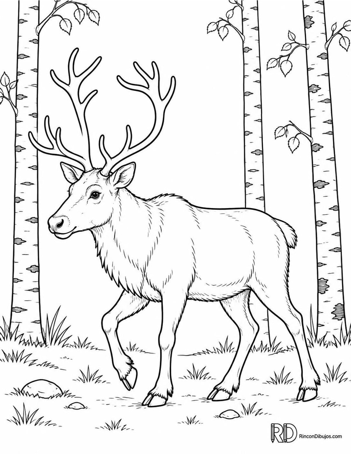 Dibujo de reno del bosque para colorear Dibujo de reno del bosque para colorear