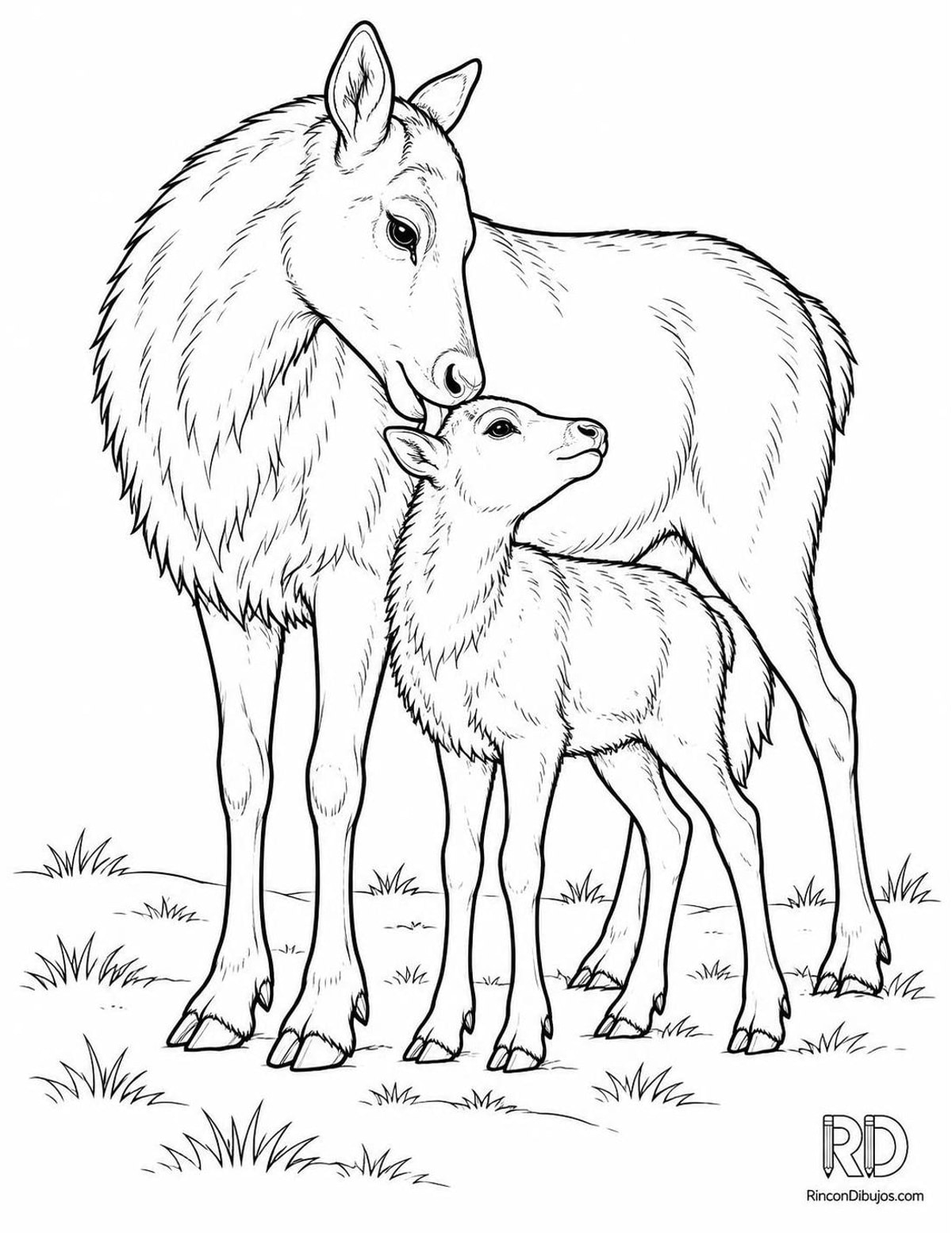 Dibujo de reno lamiendo su cría para colorear Dibujo de reno lamiendo su cría para colorear