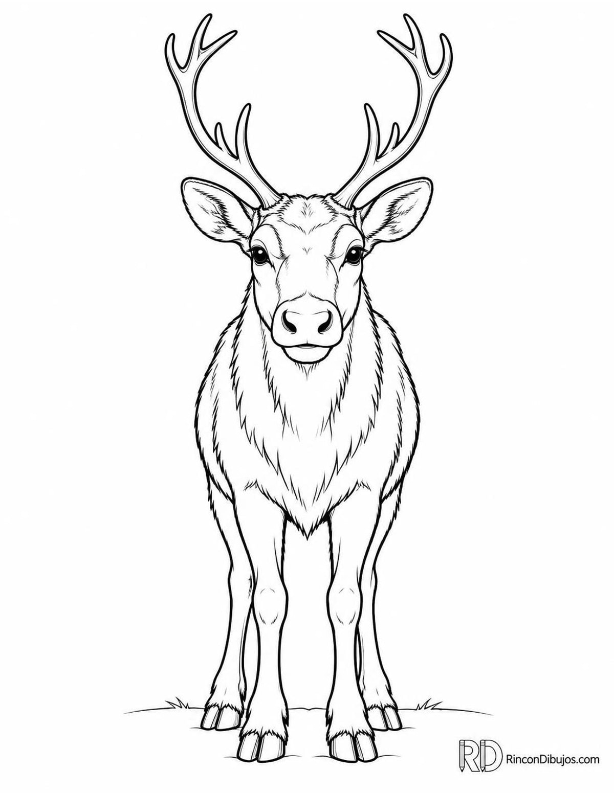 Dibujo de reno para colorear Dibujo de reno para colorear